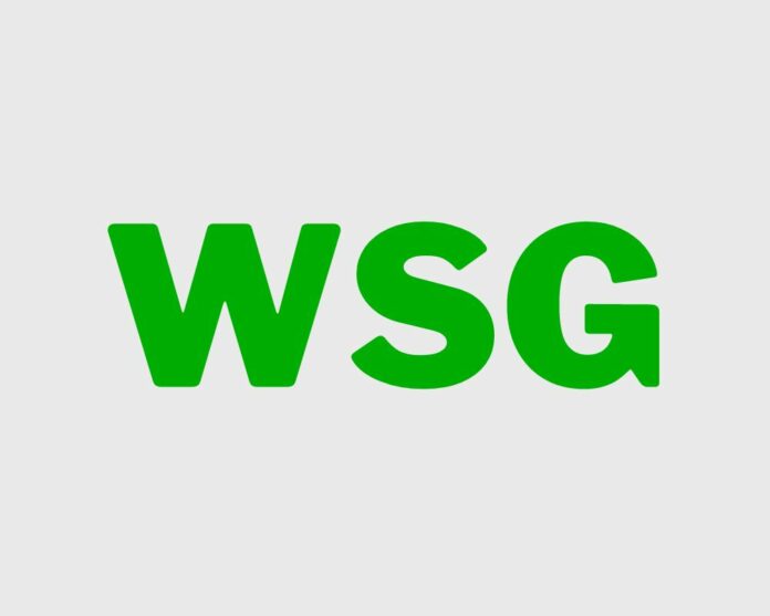 What Does 'WSG' Mean on TikTok