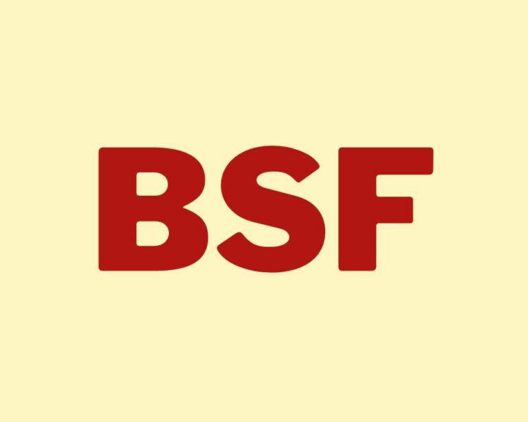 What Does Bsf Mean in Texting Slang Words Meaning