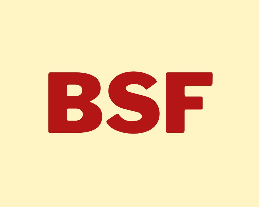 What Does Bsf Mean In Texting Slang Words Meaning